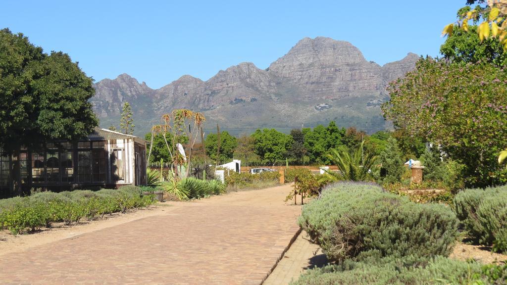 De Oude Schuur Leilighet Stellenbosch Rom bilde