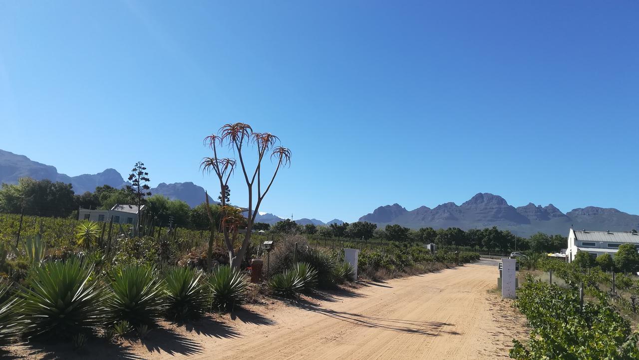 De Oude Schuur Leilighet Stellenbosch Eksteriør bilde