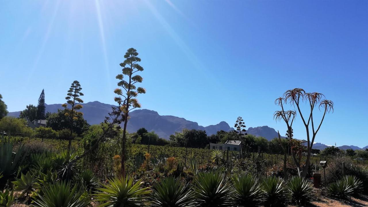 De Oude Schuur Leilighet Stellenbosch Eksteriør bilde